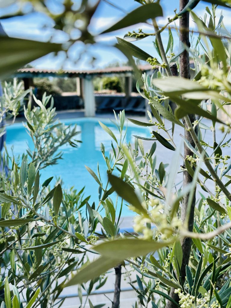 Piscine accueillante et confortable, route de Palombaggia