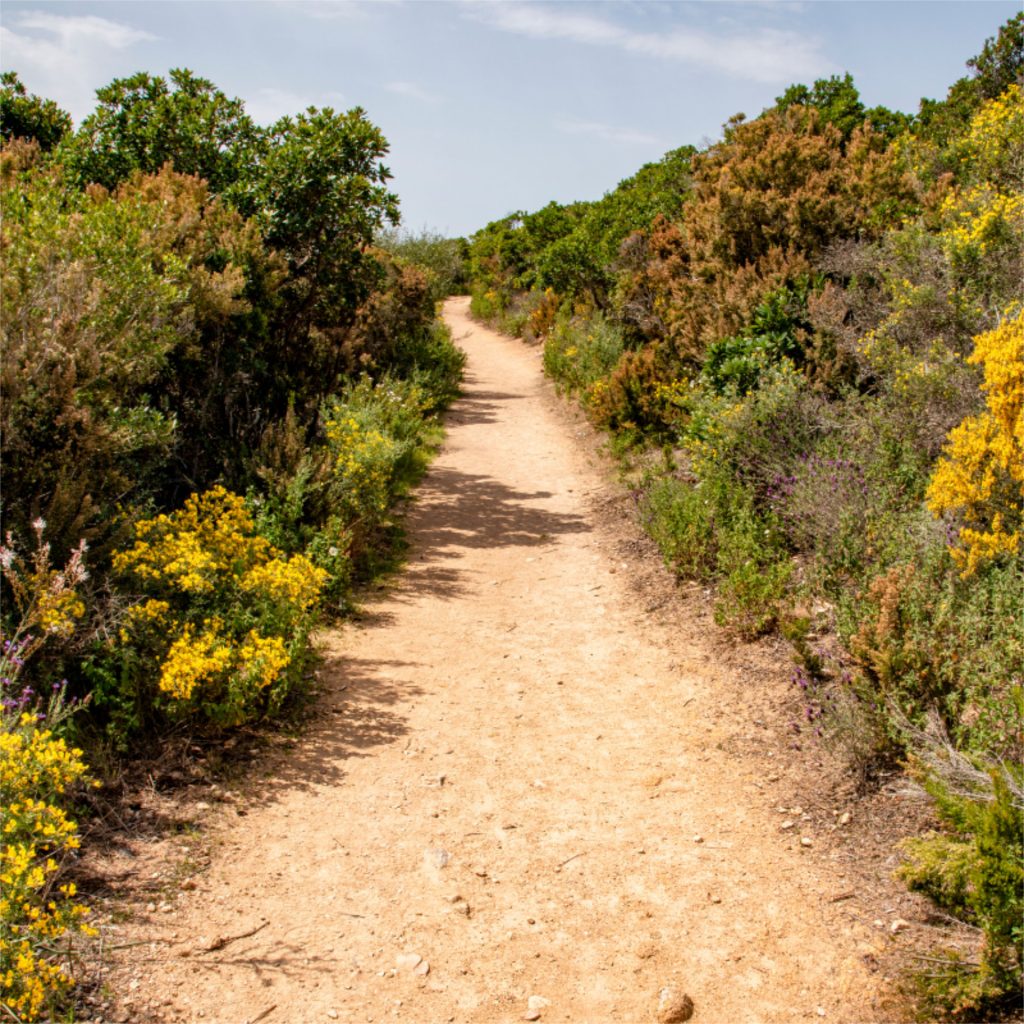 Randonnée en Corse